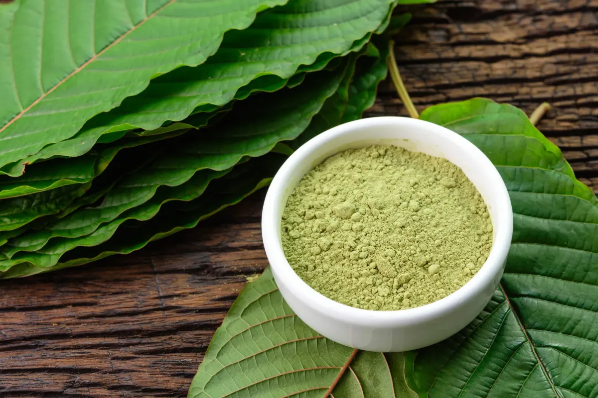 Dangers of Kratom: What you need to know